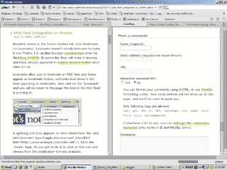 Screenshot of webbrowser split vertically